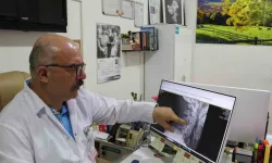Dijital Ekranlar Boyun Sağlığını Tehdit Ediyor
