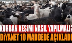 Kurban Kesimi Nasıl Yapılmalı? Diyanet 10 Maddede Açıkladı