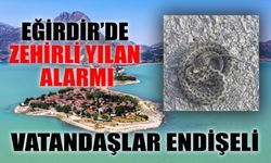 Eğirdir’de Zehirli Yılan Alarmı: Vatandaşlar Endişeli