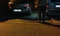 Araçların İçerisine Giren Fareler Vatandaşları Alarma Geçirdi