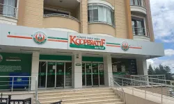 Fındıkta Dev Kampanya: Kilosu 450 TL! Bu Şubesi’nde Stok Sınırı Yok