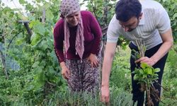 Geleneksel Kıyafetiyle Belediyeyi Yöneten Kadın