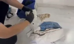 Denizli Havalimanı’nda Kaçak Madde Operasyonu