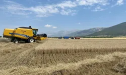 Afyonkarahisar’da 2025 Yılı Hububat Hasadı Başladı