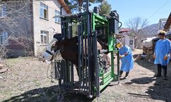 Büyükşehir'den tarım ve hayvancılığa büyük destek