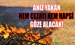 Anız Yakan Hem Cezayı Hem Hapsi Göze Alacak!