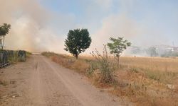 Isparta’da Boş Arazi Alevlere Teslim Oldu