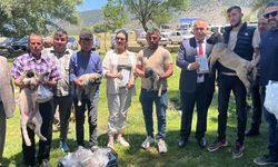 Isparta’da Sürüleri Korumak İçin Anadolu Çobanları Dağıtıldı