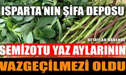 Isparta’nın Şifa Deposu: Semizotu Yaz Aylarının Vazgeçilmezi Oldu