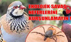 Kırsalda Keklik Nöbeti: Kene İle Doğal Savaş