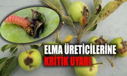 Isparta’da Elma Üreticilerine Kritik Uyarı: İç Kurdu ve Karaleke İçin İlaçlama Zamanı