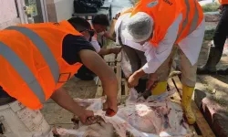 Kurban Bereketi Emirdağ’da Yüzlerce Haneye Ulaştı
