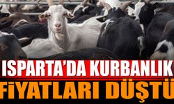 Kurban Bayramı'nın 2. Gününde Isparta'da Fiyatlar Düştü