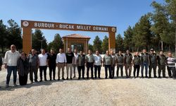 Millet Ormanı Artık Kocaaliler’in! Bucak’a Sosyal Alan Müjdesi