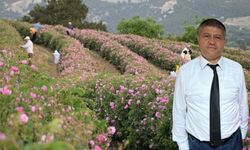 Isparta’da Gül Hasadında Yüzde 35 Kayıp