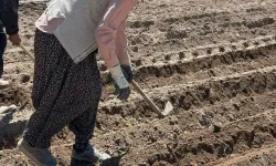 Afyon’un Tarlalarında Renkli Dönüşüm