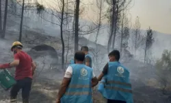 Ülkü Ocakları Orman Yangınlarına Karşı Gönüllü Destek Ekipleriyle Sahada Olacak