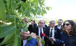 Zirai Don Komisyonu Sahada! TBMM Heyeti Üreticinin Yanında