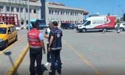 394 Bin 537 Kişi Sorgulandı, 32 Organizatör Ve 572 Düzensiz Göçmen Yakalandı