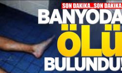 Evinin Banyosunda Ölü Olarak Bulundu