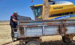 Biçerdöver Kontrolleri Hızlandı