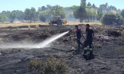 Burdur Örencik’te Yangın! 5 Dönümlük Ceviz Bahçesi Kül Oldu