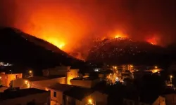 Ormanda Alev, Aracında Benzin Bidonu: Sabotaj Şüphesiyle Gözaltı!