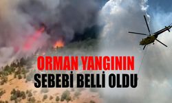 Konya- Isparta Sınırındaki Orman Yangınının Çıkış Nedeni Belli Oldu!