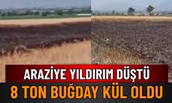 Denizli’de Yıldırım Yangını: 8 Ton Buğday Kül Oldu