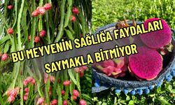 Bu Meyvenin Sağlığa Faydaları Saymakla Bitmiyor