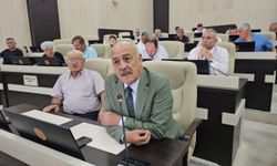 MHP’li Ertürk, Yangınlara Duyarlılık İstedi