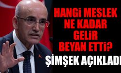 Hangi Meslek Ne Kadar Gelir Beyan Etti Bakan Şimşek Açıkladı