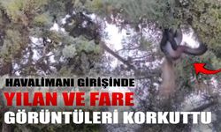 Antalya Havalimanı Girişinde Yılan ve Fare Görüntüleri Korkuttu