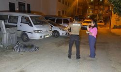 Antalya’da Vahşet: Çöp Konteynerinde Yanmış Köpek Ölüsü Bulundu