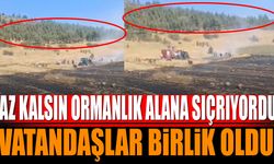 Isparta'da yangın ormanlık alana sıçramadan kontrol altına alındı
