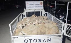 Isparta’da 32 Küçükbaş Hayvanı Alıp Kaçtılar, Uşak'ta Yakalandılar