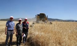 Isparta’da Biçerdöver Kontrolleri Sürüyor: Hedef Dane Kaybını En Aza İndirmek