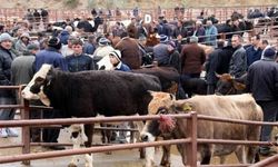 Isparta’da Canlı Hayvan Pazarları Geçici Olarak Kapatıldı