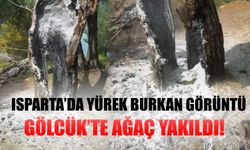 Isparta’da Yürek Burkan Görüntü: Gölcük’te Ağaç Yakıldı