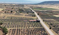 Isparta’nın Mor Tarlaları Turist Akınına Uğruyor