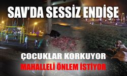Sav’da Sessiz Endişe: Çocuklar Korkuyor, Mahalleli Önlem İstiyor