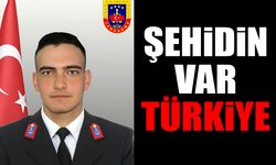 Mehmet Ali Yıldırım Şehit Düştü
