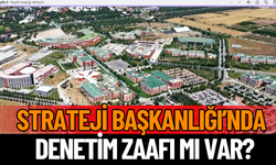 Strateji Başkanlığı’nda Denetim Zaafı mı Var?