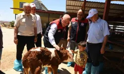 Denizli’de Süt Üretimi Güçleniyor