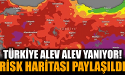 2025 Türkiye Yangın Risk Haritası Açıklandı: En Yüksek Risk Hangi İllerde?