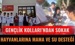 CHP Isparta Gençlik Kolları’ndan Sokak Hayvanlarına Mama ve Su Desteği