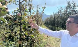"Eğirdir'de Susuzluk Değil Plansızlık Krizié