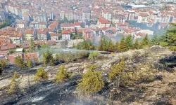 Hıdırlıkta çıkan yangın kısa sürede söndürüldü