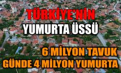 6 Milyon Tavuk, Günde 4 Milyon Yumurta: Türkiye'nin Yumurta Üssü