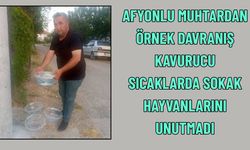 Afyonlu Muhtar Sokak Hayvanlarını Unutmadı